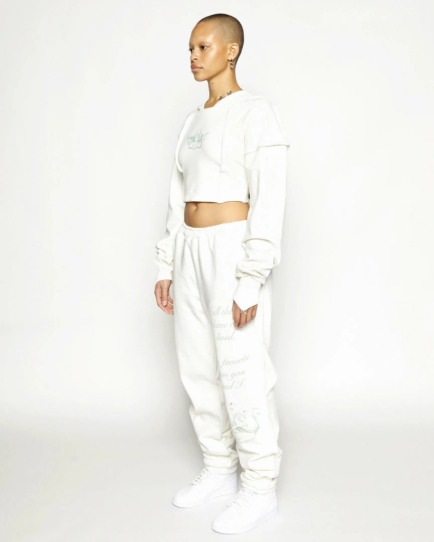 Ariel X Boys Lie I Like Your Shape Cropped Corset Hoodie