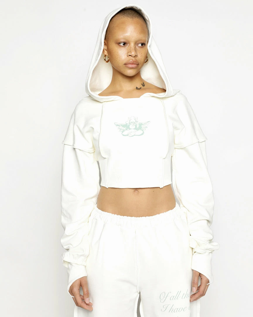 Ariel X Boys Lie I Like Your Shape Cropped Corset Hoodie